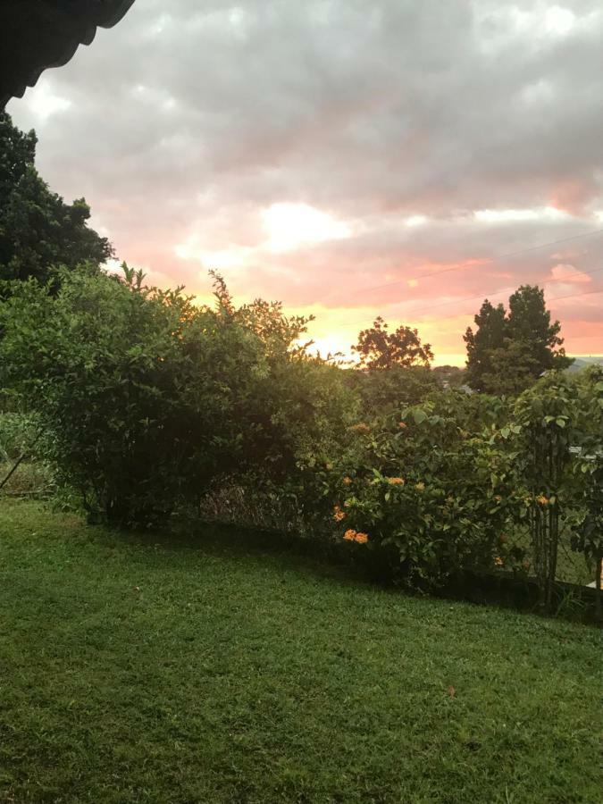 Charmant Bungalow Au Coeur De L'Ile Baie-Mahault Kültér fotó